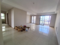 3室2廳2陽臺(tái) 大華公園天下時(shí)光園客廳