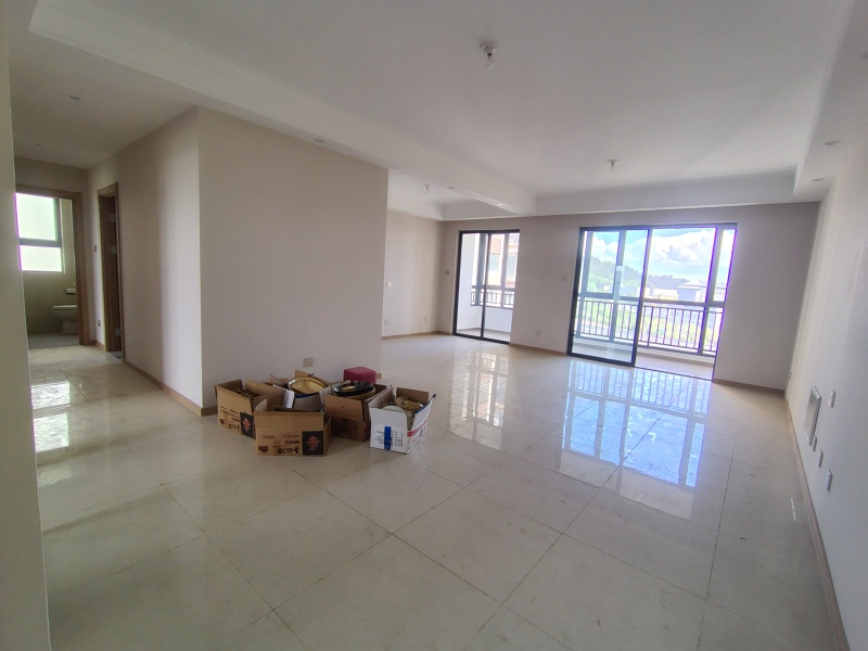 3室2廳2陽臺(tái) 大華公園天下時(shí)光園客廳