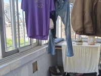 3室2廳1陽臺 栗樹頭社區(qū)陽臺