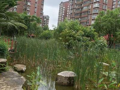 4室2廳2陽臺 第三城丹槿園