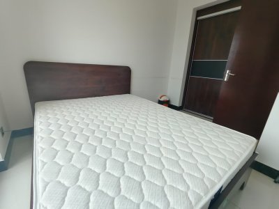 3室2廳1陽(yáng)臺(tái) 金檀