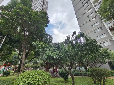 2室2廳1陽臺 金馬悅城