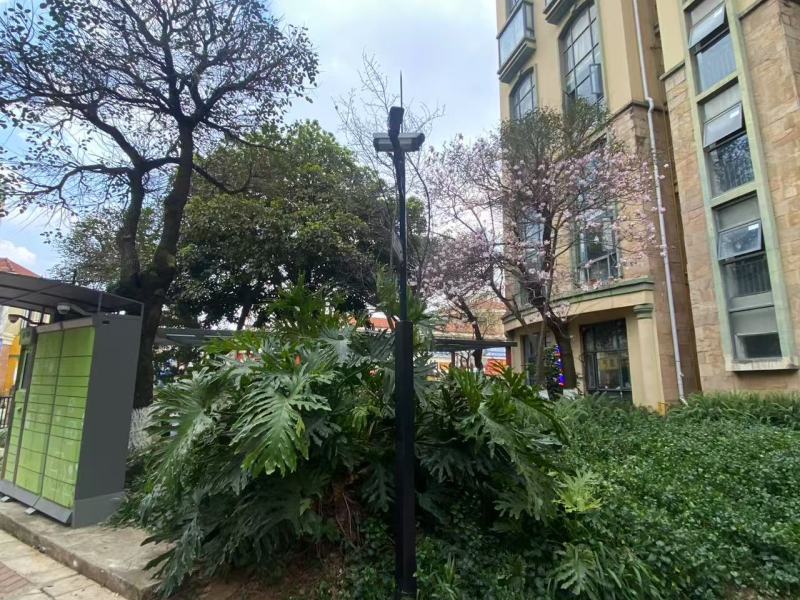 4室2廳1陽臺 新亞洲星體花園南區(qū)其他