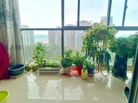 4室2廳2陽(yáng)臺(tái) 龍江雅苑陽(yáng)臺(tái)