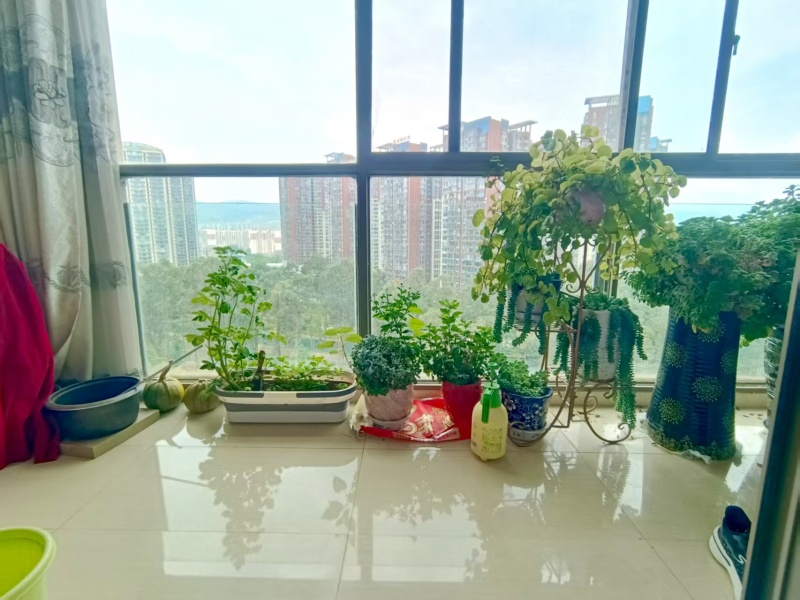 4室2廳2陽(yáng)臺(tái) 龍江雅苑陽(yáng)臺(tái)