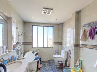5室3廳2陽臺 果林湖畔別墅衛(wèi)生間