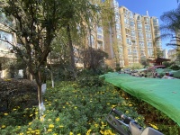 4室2廳1陽臺 新亞洲星體花園南區(qū)其他