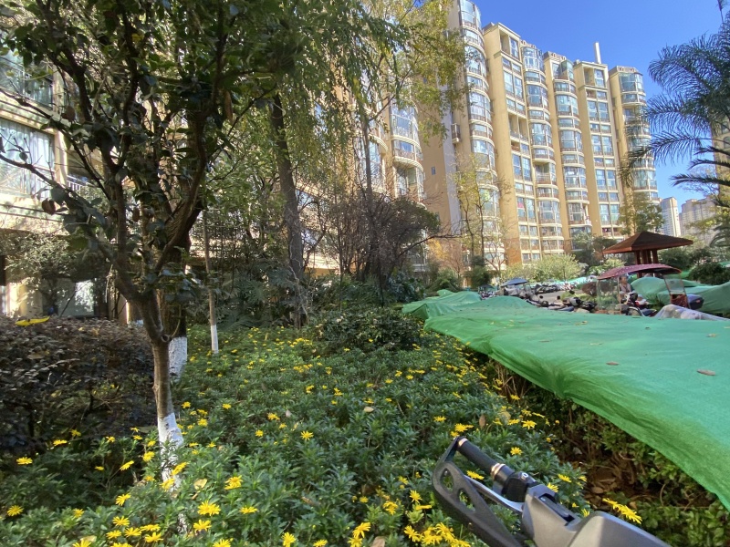 4室2廳1陽臺 新亞洲星體花園南區(qū)其他