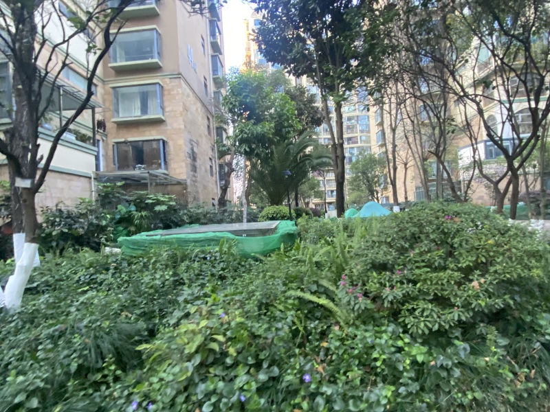 4室2廳1陽臺 新亞洲星體花園南區(qū)其他