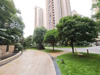 3室2廳2陽臺 金科陽光里其他