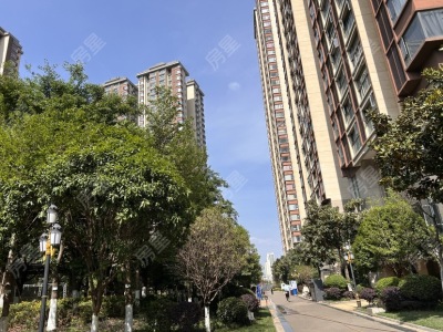 3室2廳2陽(yáng)臺(tái) 新希望希望匯其他