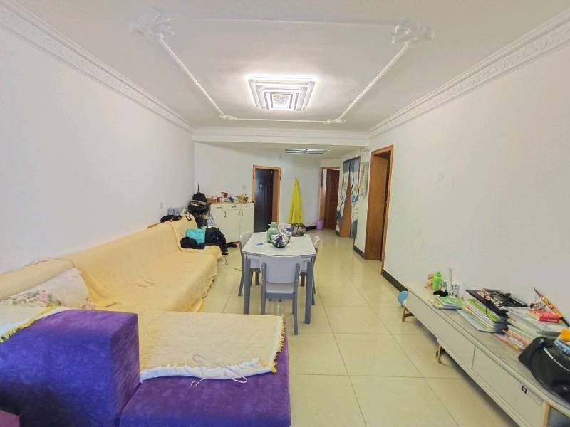 2室2廳1陽臺 金星小區(qū)客廳