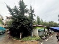 3室2廳2陽(yáng)臺(tái) 省委1號(hào)院其他