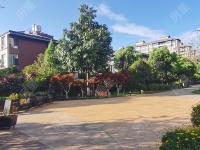 4室2廳3陽臺 招商海公館別墅其他