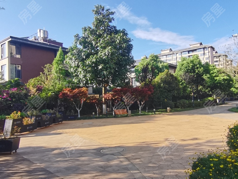 4室2廳3陽臺 招商海公館別墅其他