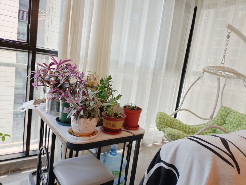 3室2廳2陽臺 萬科500里結(jié)海廬陽臺