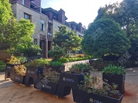 4室2廳3陽臺 招商海公館別墅其他