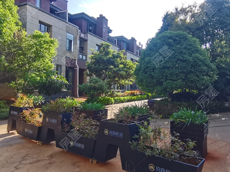 4室2廳3陽臺 招商海公館別墅其他