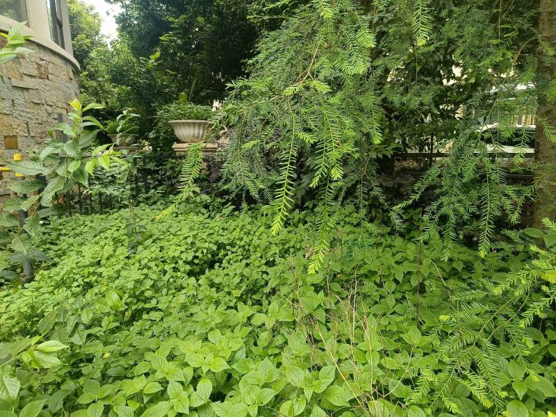 5室2廳2陽臺 香檳小鎮(zhèn)別墅自家花園