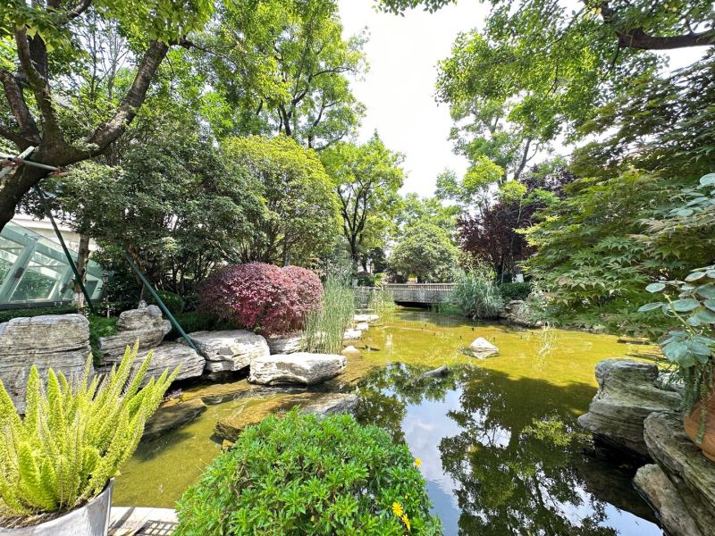 6室3廳5陽(yáng)臺(tái) 公園1903康醍別墅其他