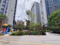 4室2廳1陽臺(tái) 眾安白馬御府其他