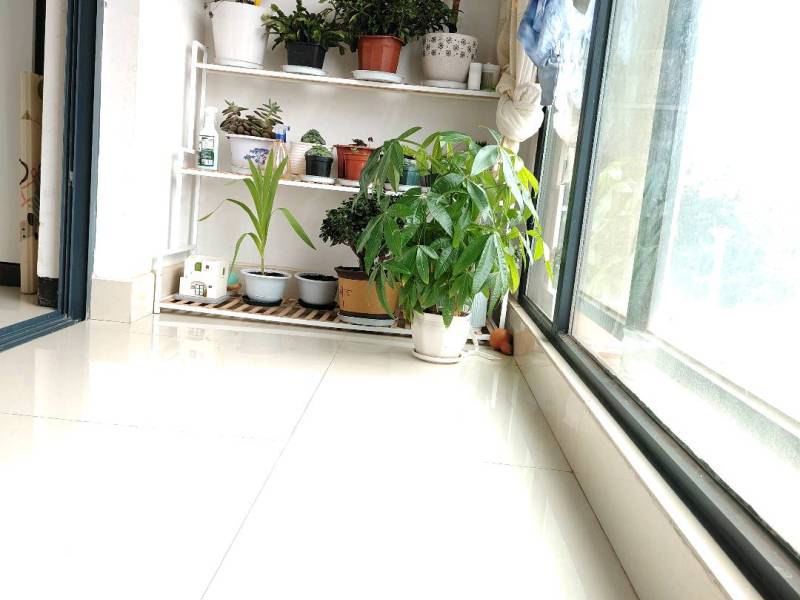 3室2廳1陽臺 龍湖水晶酈城陽臺