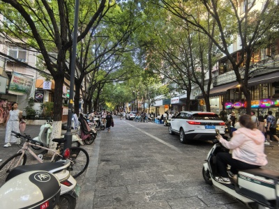 4室2廳3陽臺 文化苑