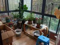 2室2廳1陽臺 欣龍花園陽臺