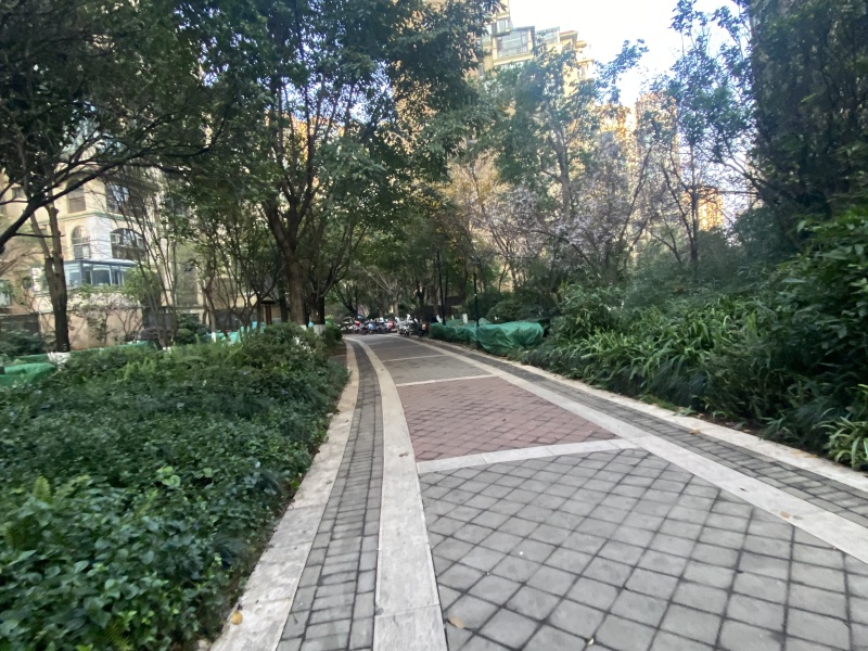 3室2廳2陽臺 新亞洲星體花園北區(qū)自家花園