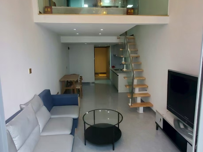 1室1廳1陽(yáng)臺(tái) 潤(rùn)城第二大道公寓客廳