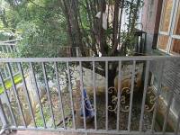 5室3廳4陽臺 湖畔之夢別墅自家花園