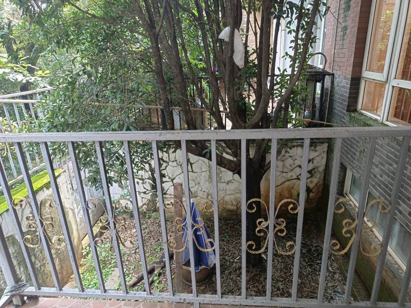 5室3廳4陽臺 湖畔之夢別墅自家花園