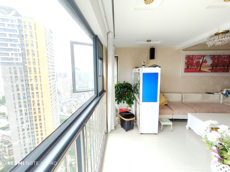 1室2廳1陽(yáng)臺(tái) 金尚俊園一期陽(yáng)臺(tái)