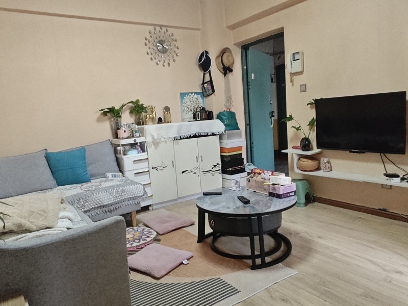 1室1廳1陽臺 德緣小區(qū)北區(qū)其他