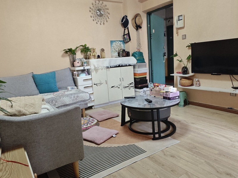 1室1廳1陽臺 德緣小區(qū)北區(qū)其他