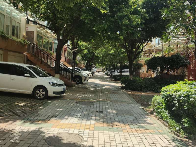 3室2廳1陽臺 玫瑰灣小區(qū)其他