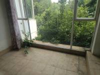 5室3廳4陽臺 湖畔之夢別墅陽臺