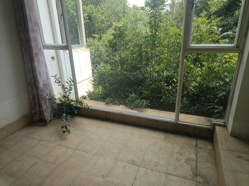 5室3廳4陽臺 湖畔之夢別墅陽臺