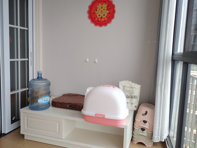 2室2廳1陽臺 真愛歲月陽臺