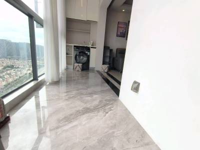 3室2廳1陽臺 復地云極一期