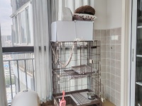 2室2廳1陽臺 真愛歲月陽臺