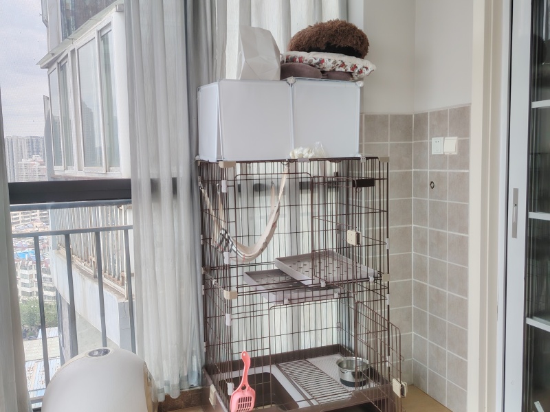 2室2廳1陽臺 真愛歲月陽臺