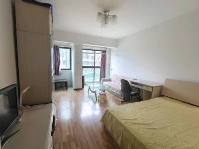 1室1廳1陽臺 金域緹香