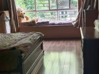 4室2廳2陽臺 天澤園臥室