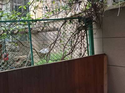 4室2廳2陽臺 天澤園自家花園