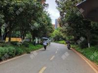 3室2廳2陽臺 新亞洲星云園其他