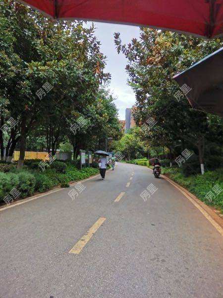 3室2廳2陽臺 新亞洲星云園其他