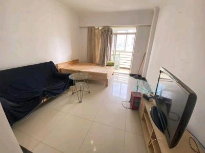 1室1廳1陽(yáng)臺(tái) 江東花城