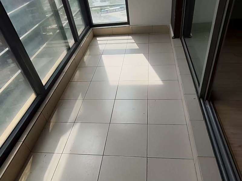 1室1廳1陽臺 經(jīng)典雙城一期陽臺