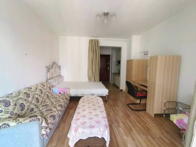 1室1廳1陽(yáng)臺(tái) 金域緹香